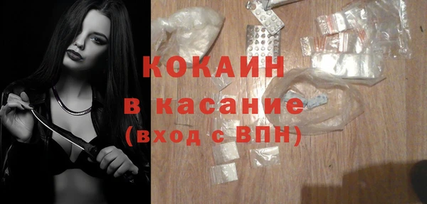 прущие грибы Надым