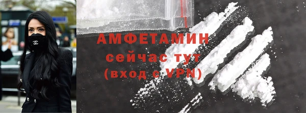 прущие грибы Надым