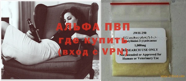 прущие грибы Надым