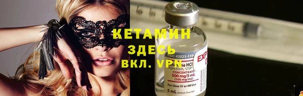 прущие грибы Надым