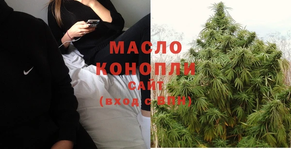 прущие грибы Надым