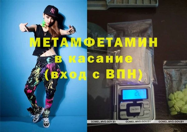 прущие грибы Надым