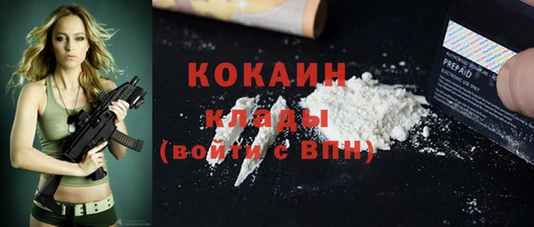 прущие грибы Надым