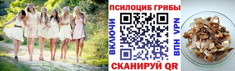 где найти   Зуевка  кракен онион  Псилоцибиновые грибы GOLDEN TEACHER 